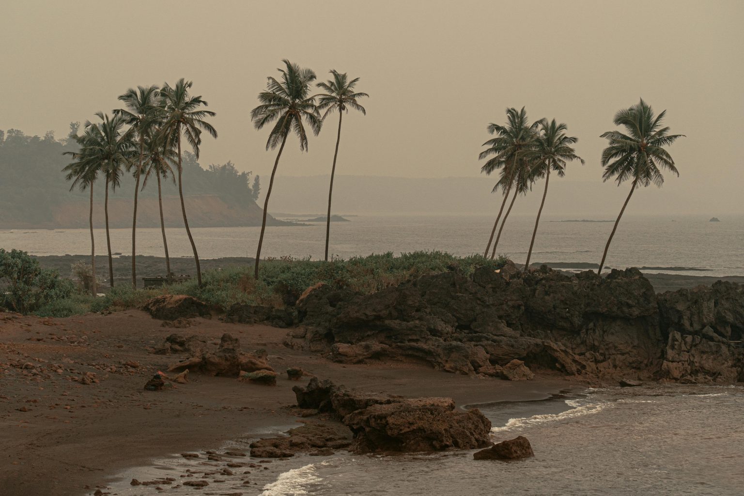 Dramatic coastline of Goa with swaying palm trees and rocky shore at sunset.